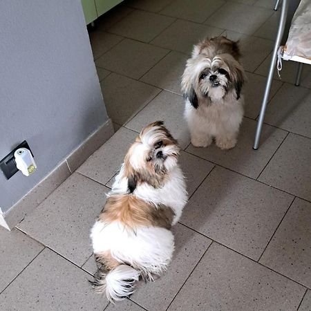 B&B La Fontanella Riccò del Golfo di Spezia Zewnętrze zdjęcie
